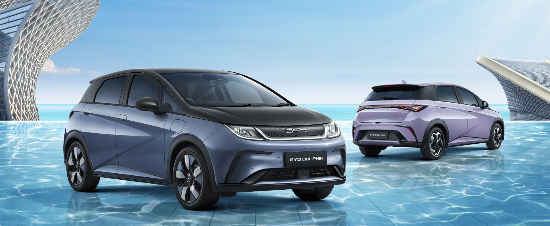 BYD Dolphin Banner